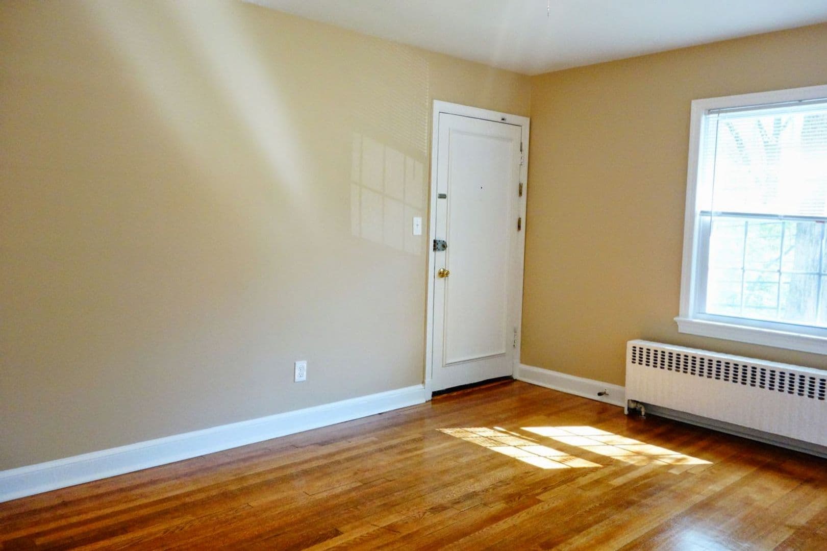 Takoma Park Apartment: 8404 Greenwood Ave