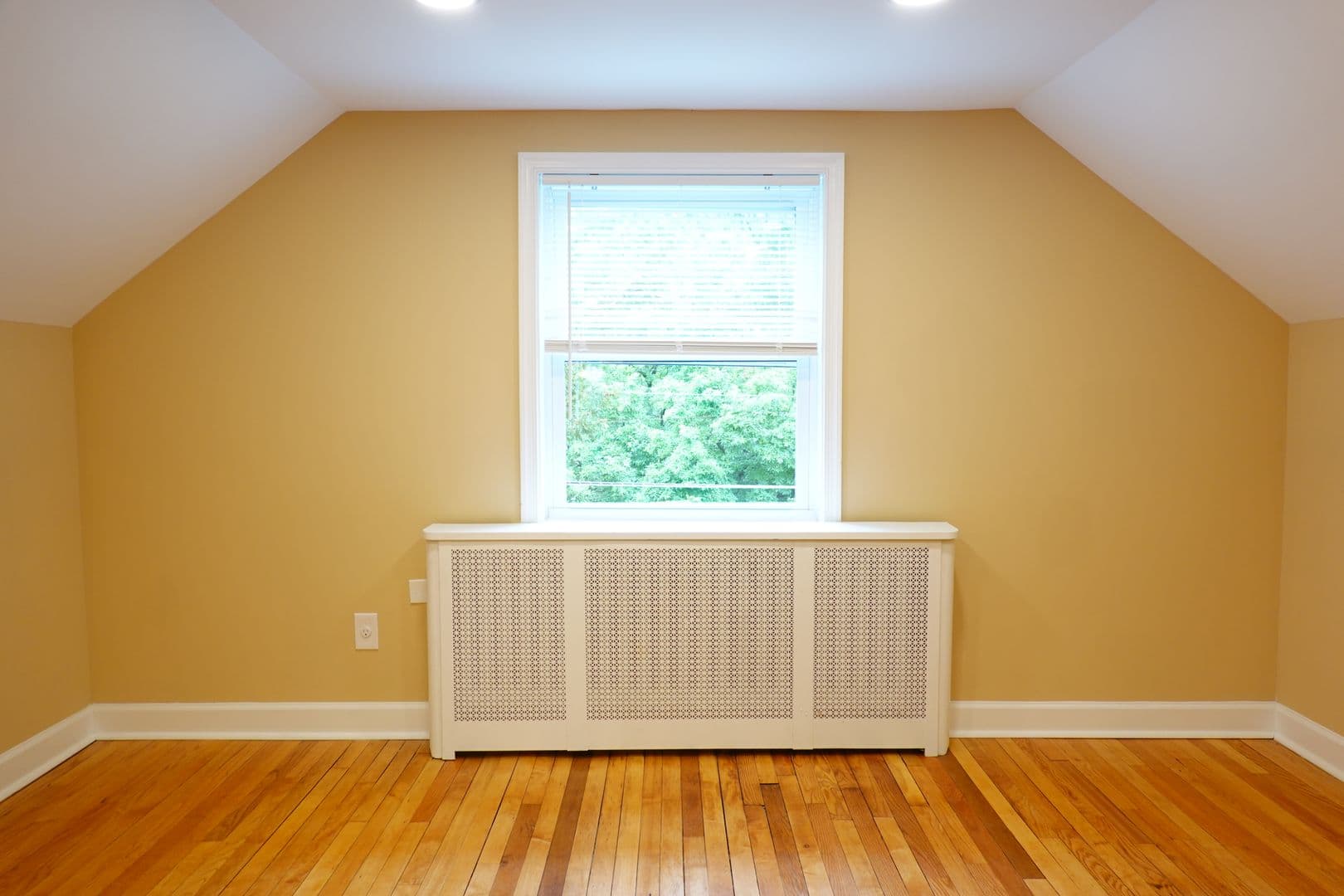 Takoma Park Apartment: 8220 Greenwood Ave