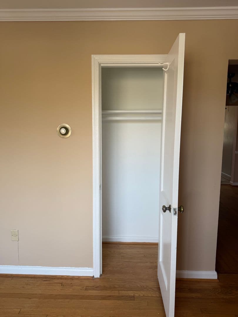 Silver Spring Apartment: 8705 Plymouth St