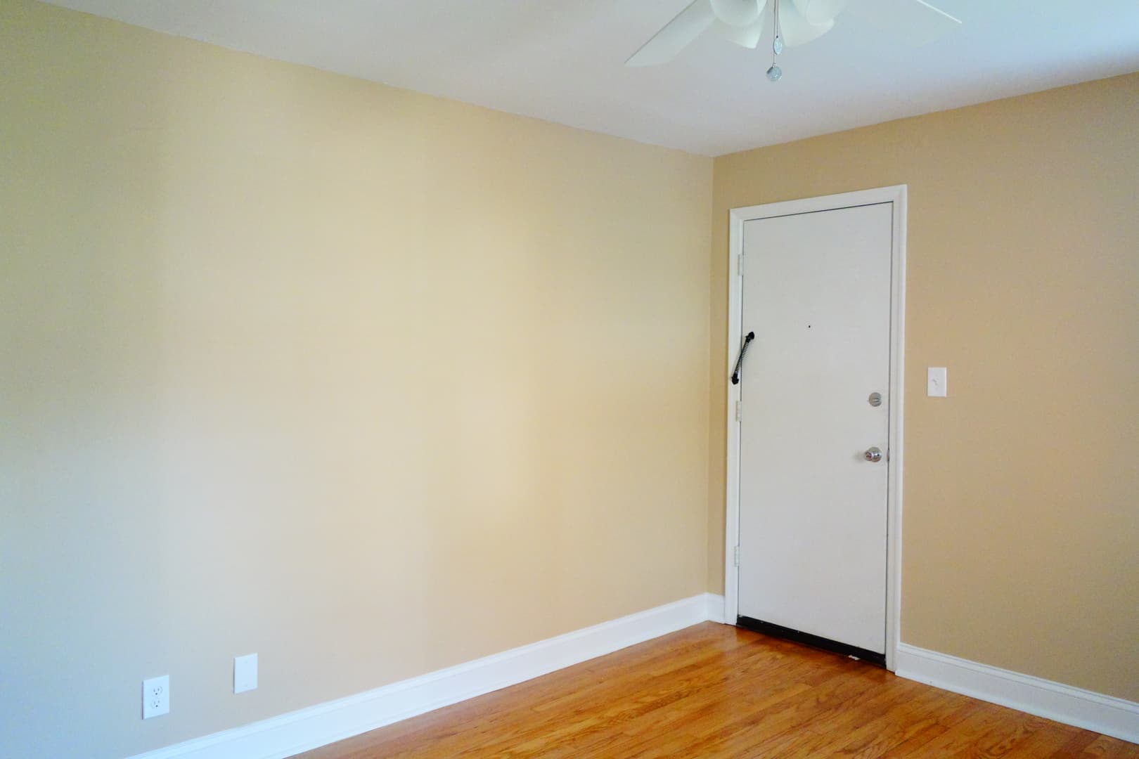 Takoma Park Apartment: 8105 Greenwood Ave