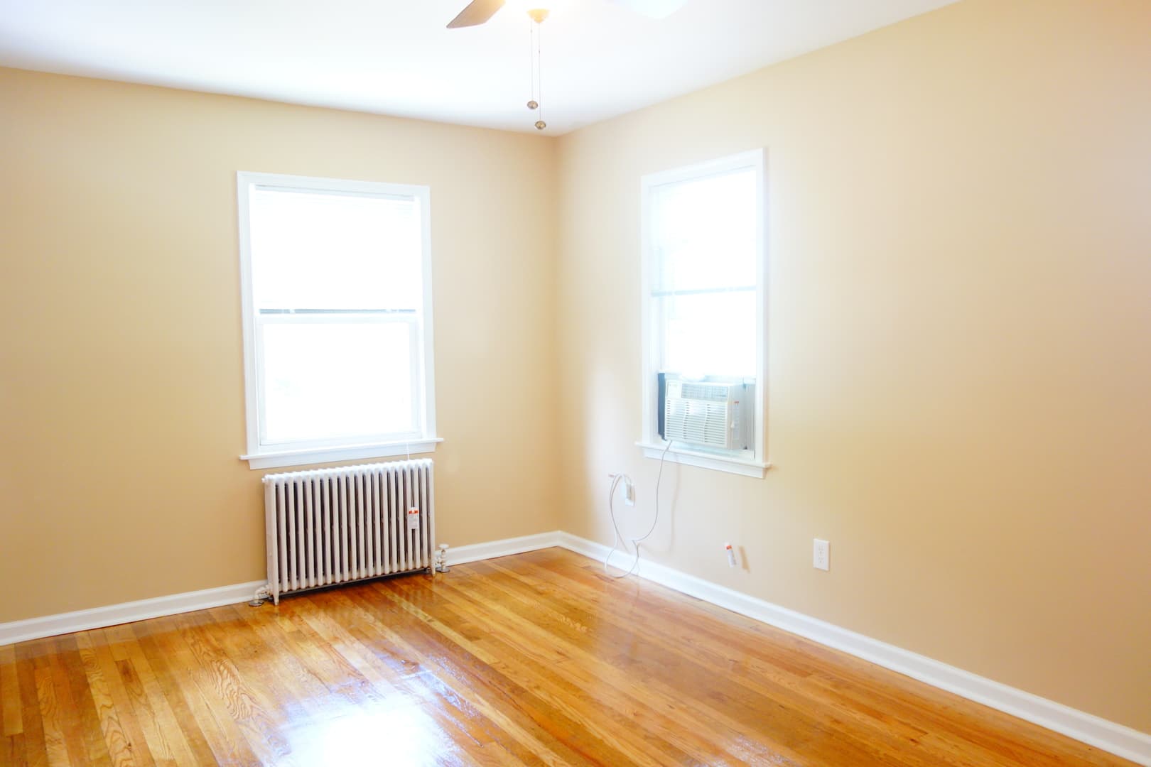 Takoma Park Apartment: 8401 Flower Ave