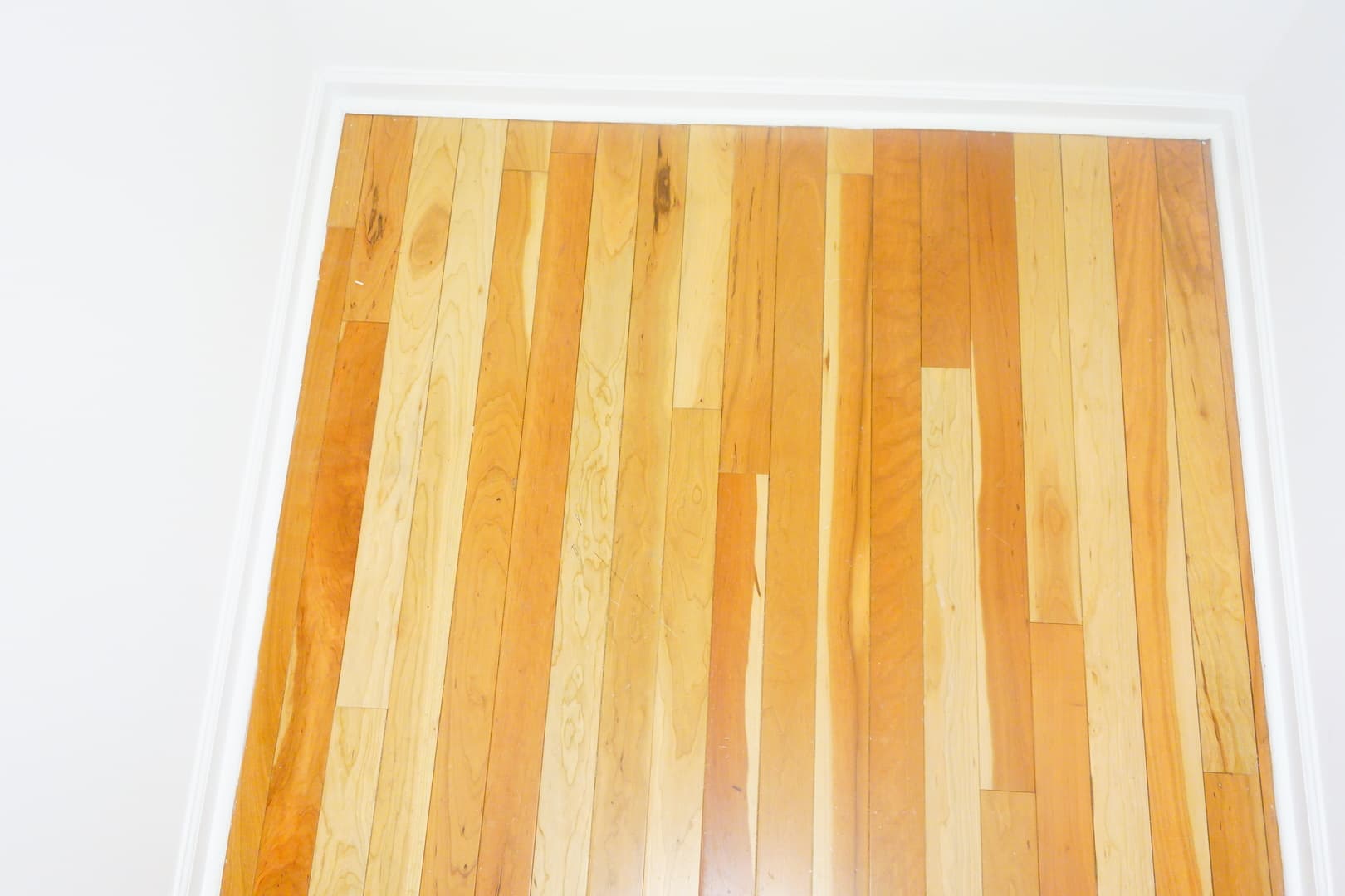 Takoma Park Apartment: 8401 Flower Ave
