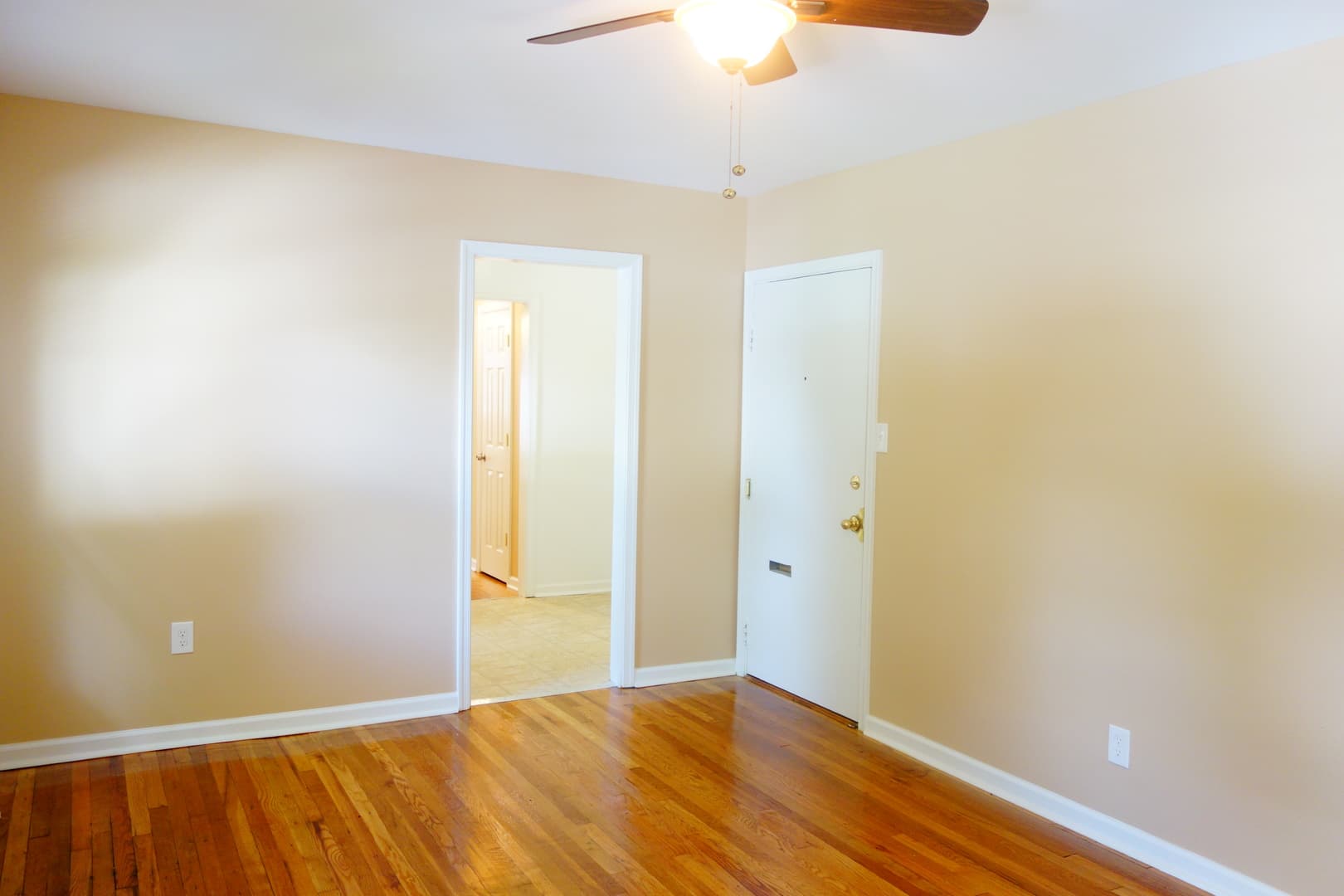 Takoma Park Apartment: 8401 Flower Ave