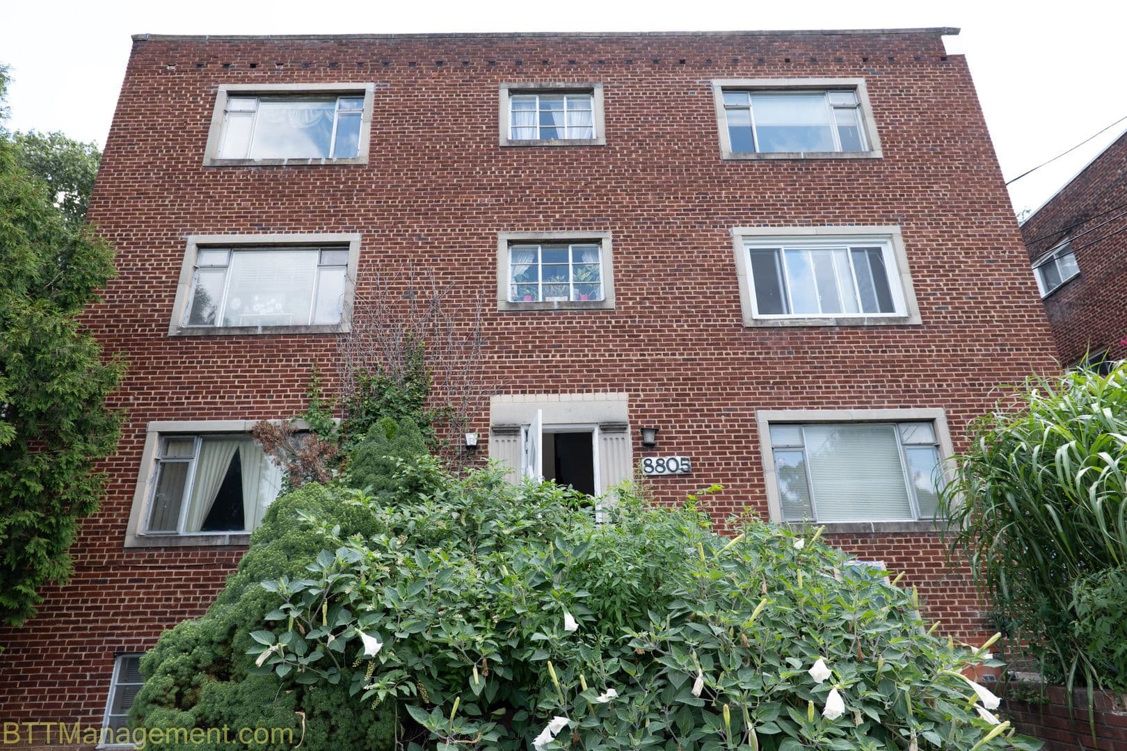 Silver Spring Apartment: 8805 Plymouth St