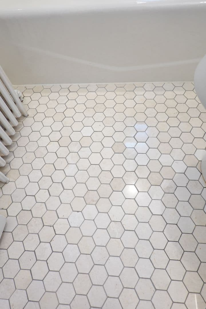 Silver Spring Apartment: 8802 Plymouth St