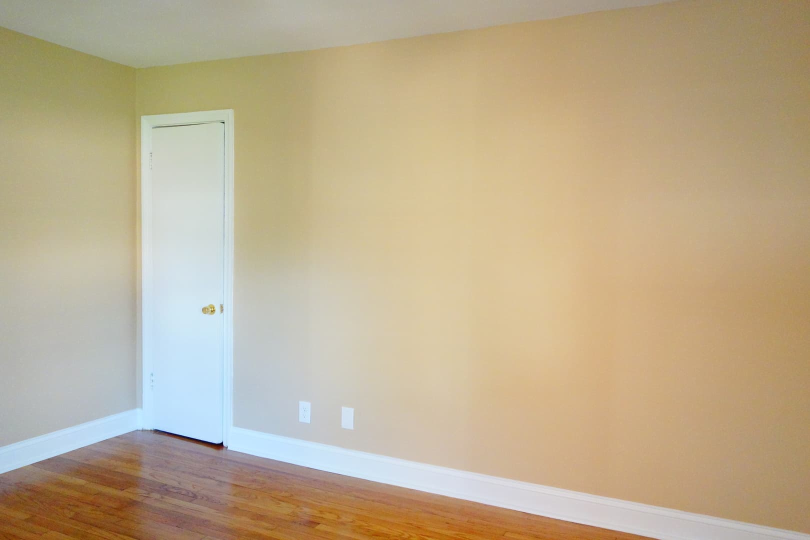 Takoma Park Apartment: 8105 Greenwood Ave