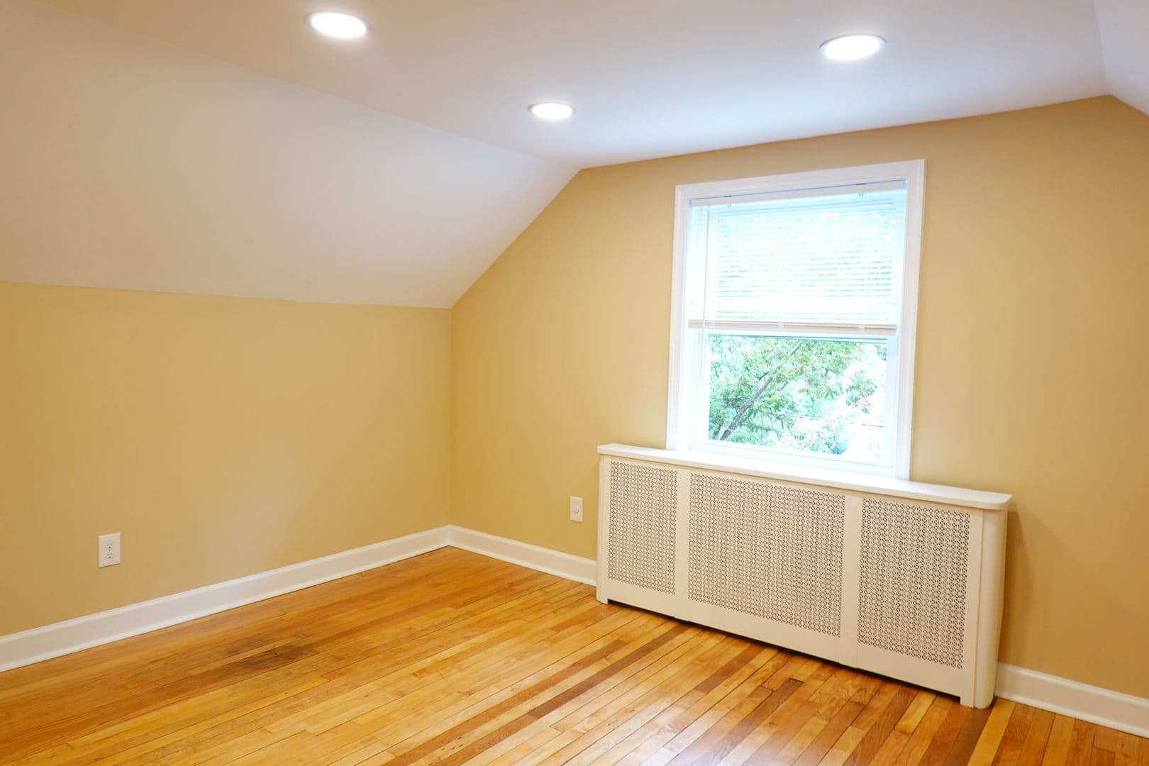 Takoma Park Apartment: 8220 Greenwood Ave