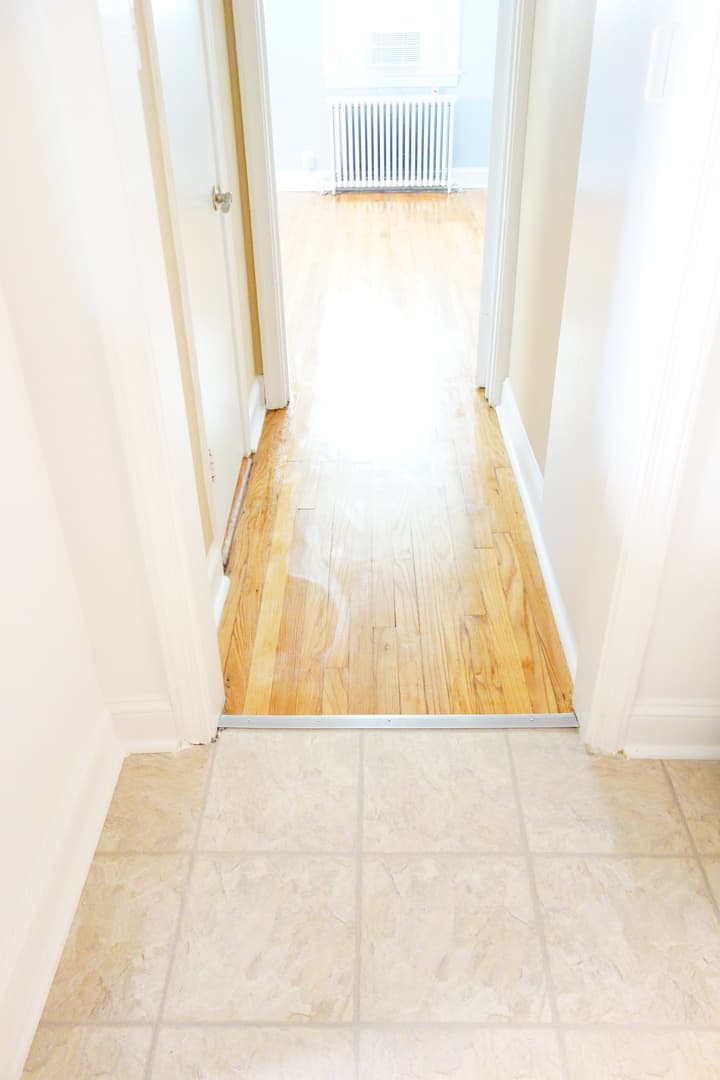 Takoma Park Apartment: 8105 Greenwood Ave