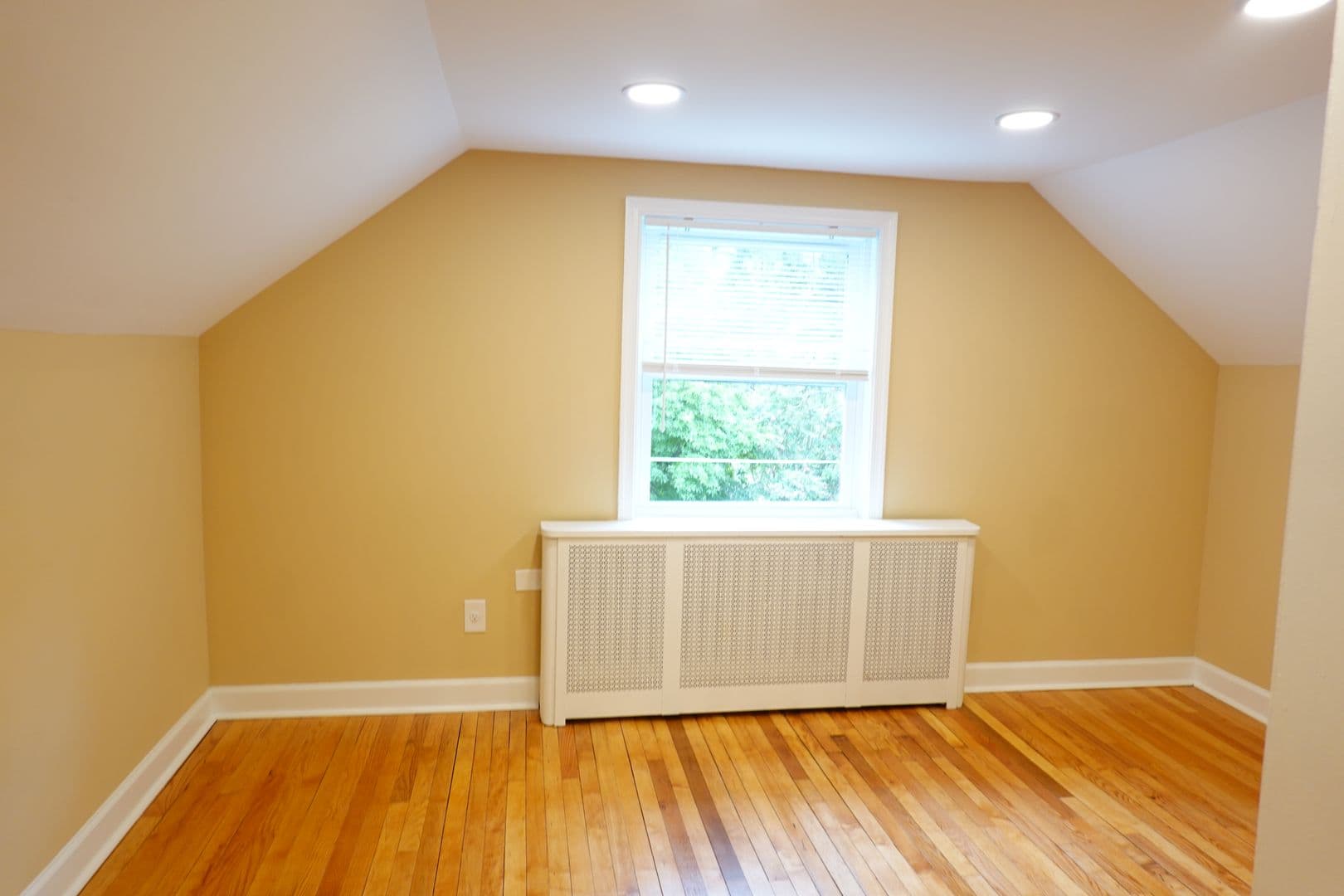 Takoma Park Apartment: 8220 Greenwood Ave