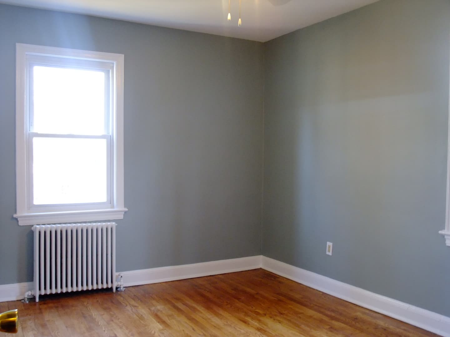 Takoma Park Apartment: 907 Wabash Ave