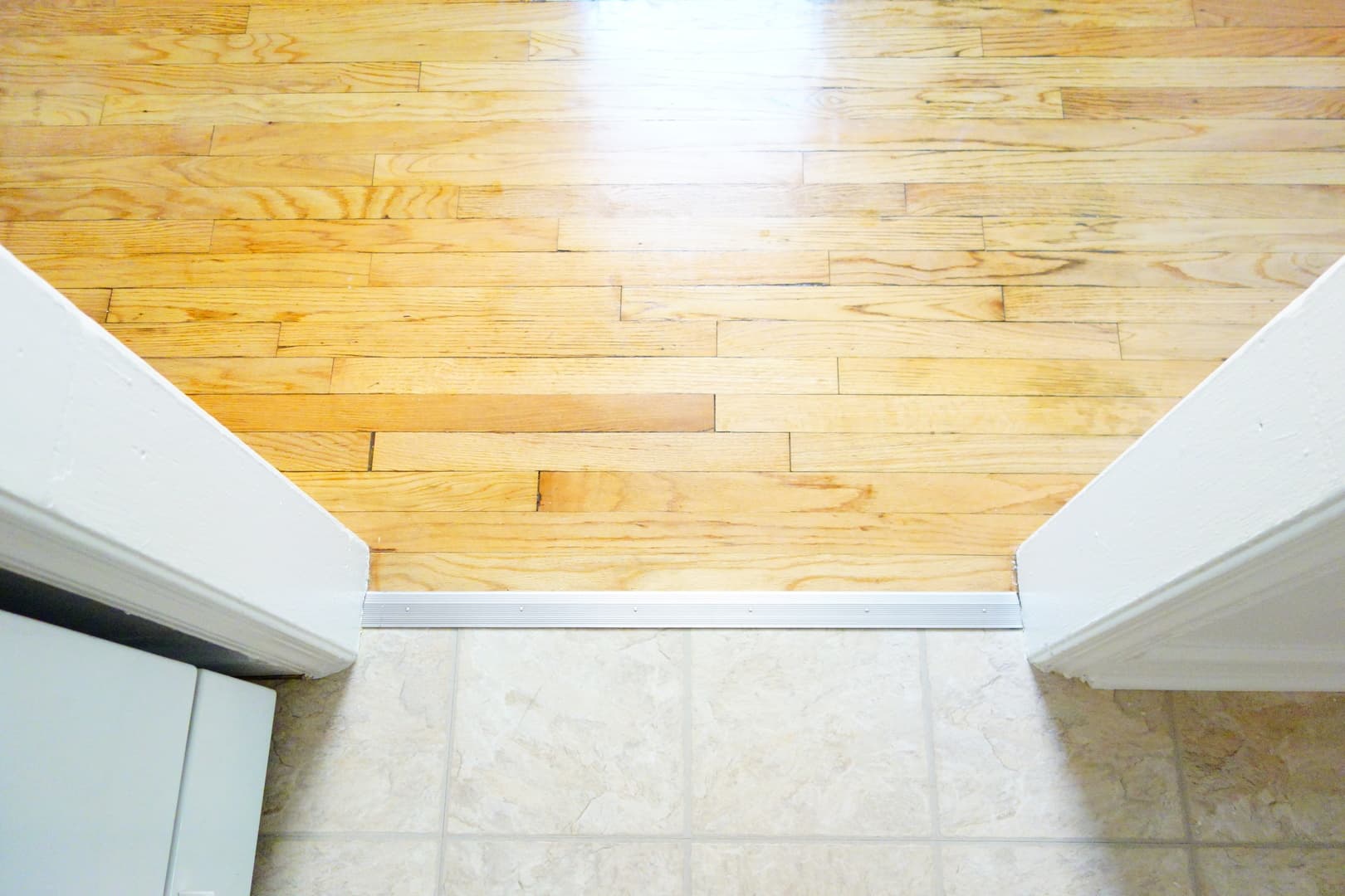 Takoma Park Apartment: 8105 Greenwood Ave