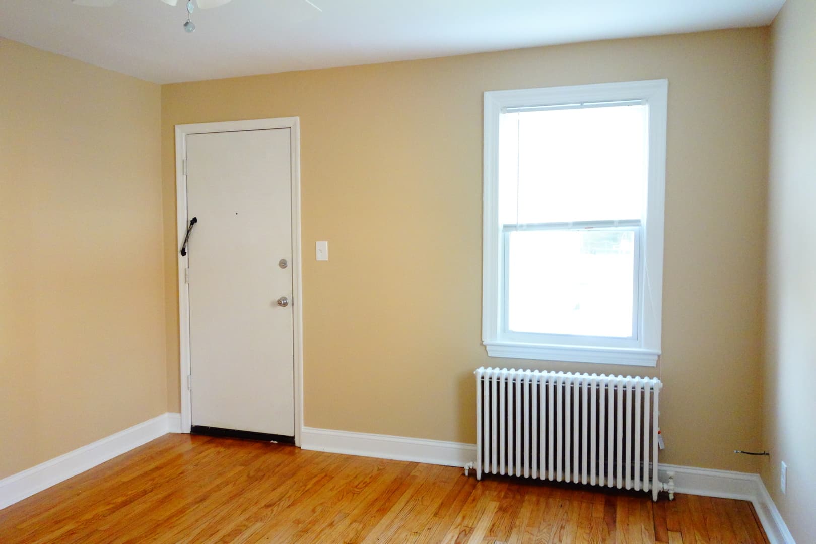 Takoma Park Apartment: 8105 Greenwood Ave