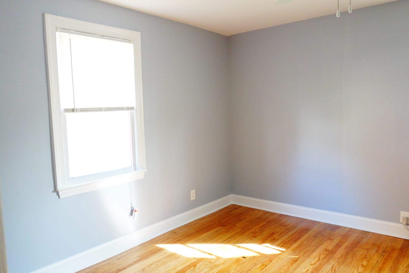 Takoma Park Apartment: 8105 Greenwood Ave