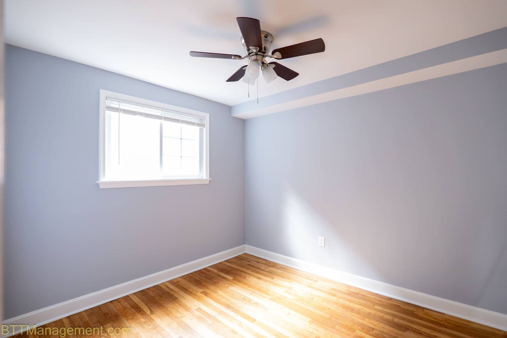 Silver Spring Apartment: 8805 Plymouth St