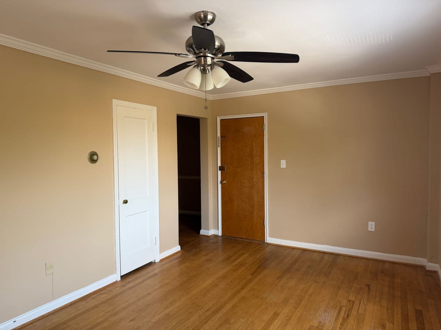 Silver Spring Apartment: 8705 Plymouth St
