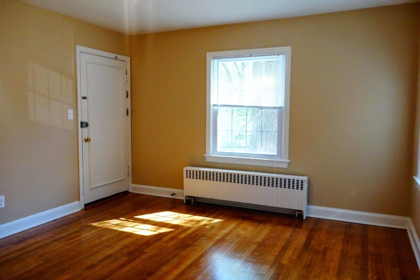 Takoma Park Apartment: 8404 Greenwood Ave