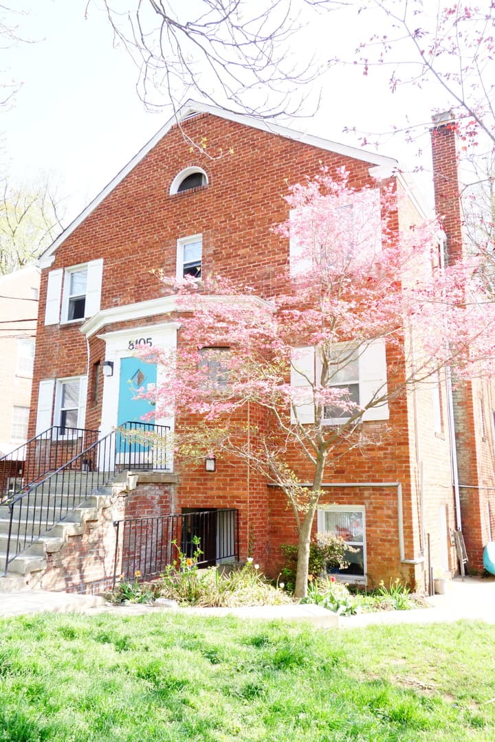 Takoma Park Apartment: 8105 Greenwood Ave