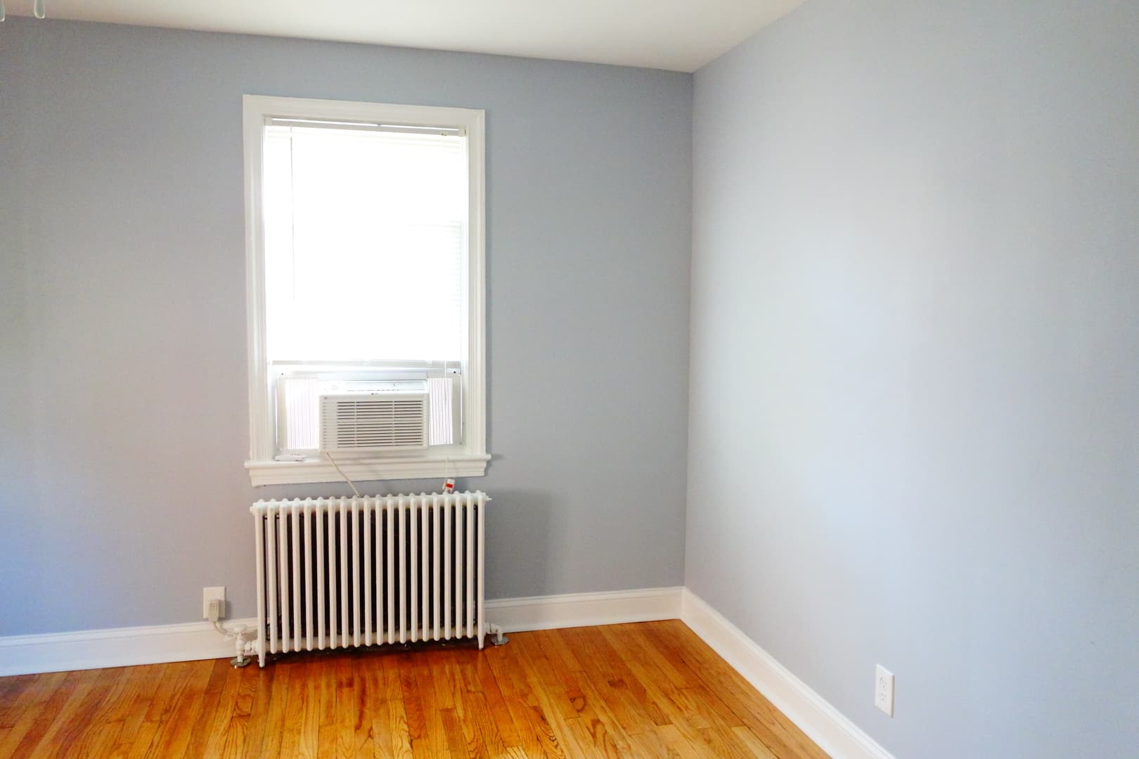 Takoma Park Apartment: 8105 Greenwood Ave