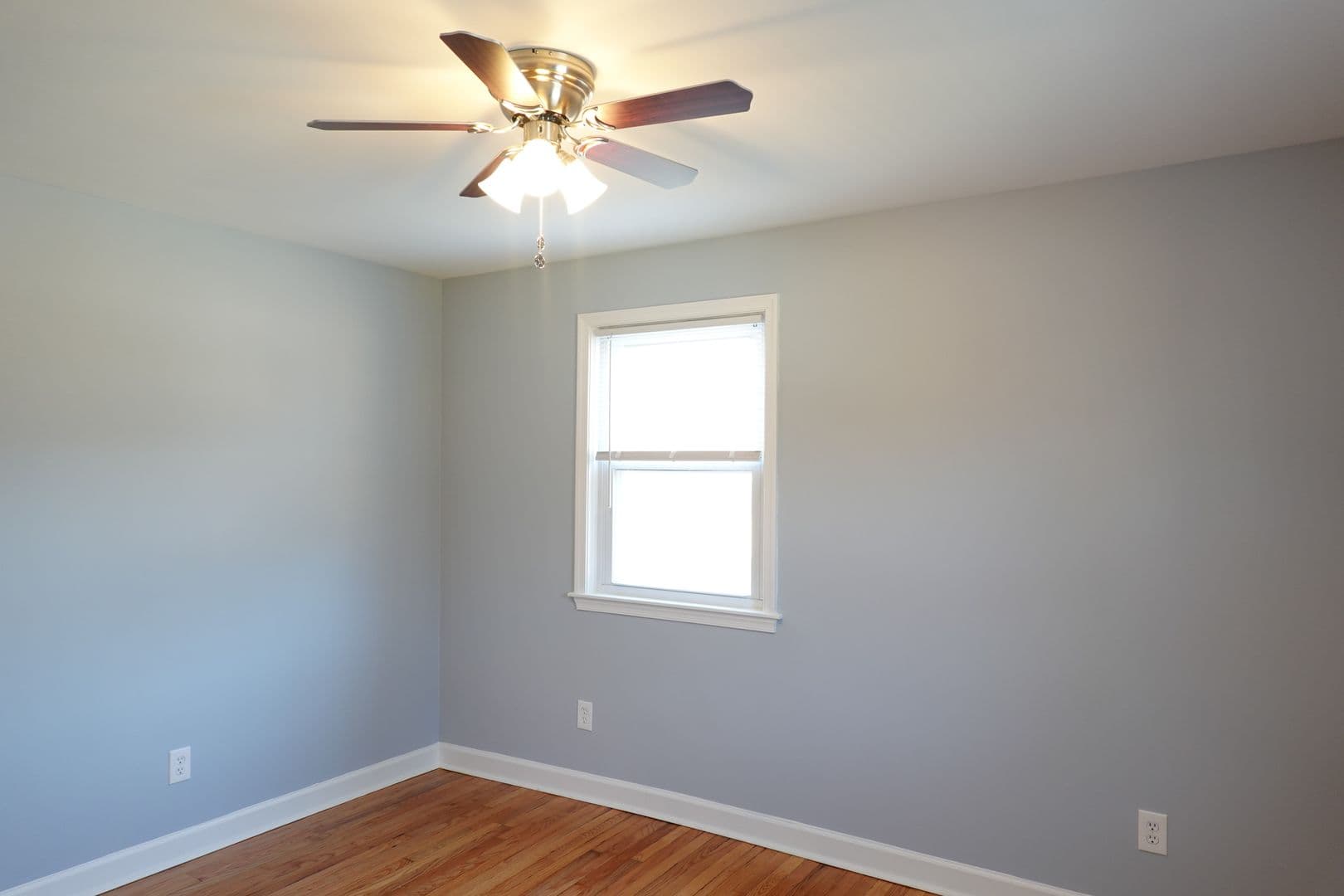 Silver Spring Apartment: 8802 Plymouth St