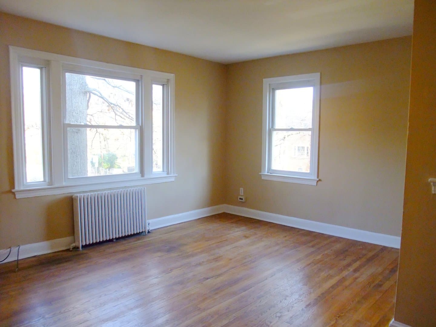 Takoma Park Apartment: 907 Wabash Ave