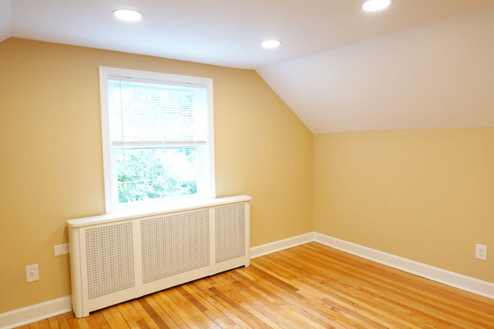 Takoma Park Apartment: 8220 Greenwood Ave