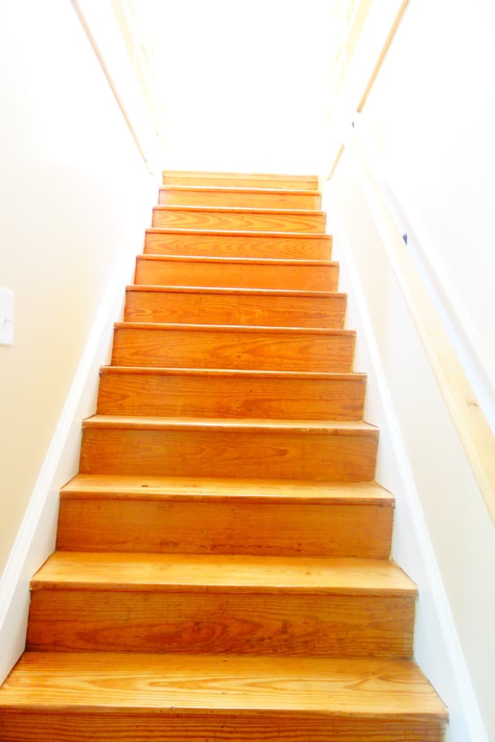 Takoma Park Apartment: 8401 Flower Ave