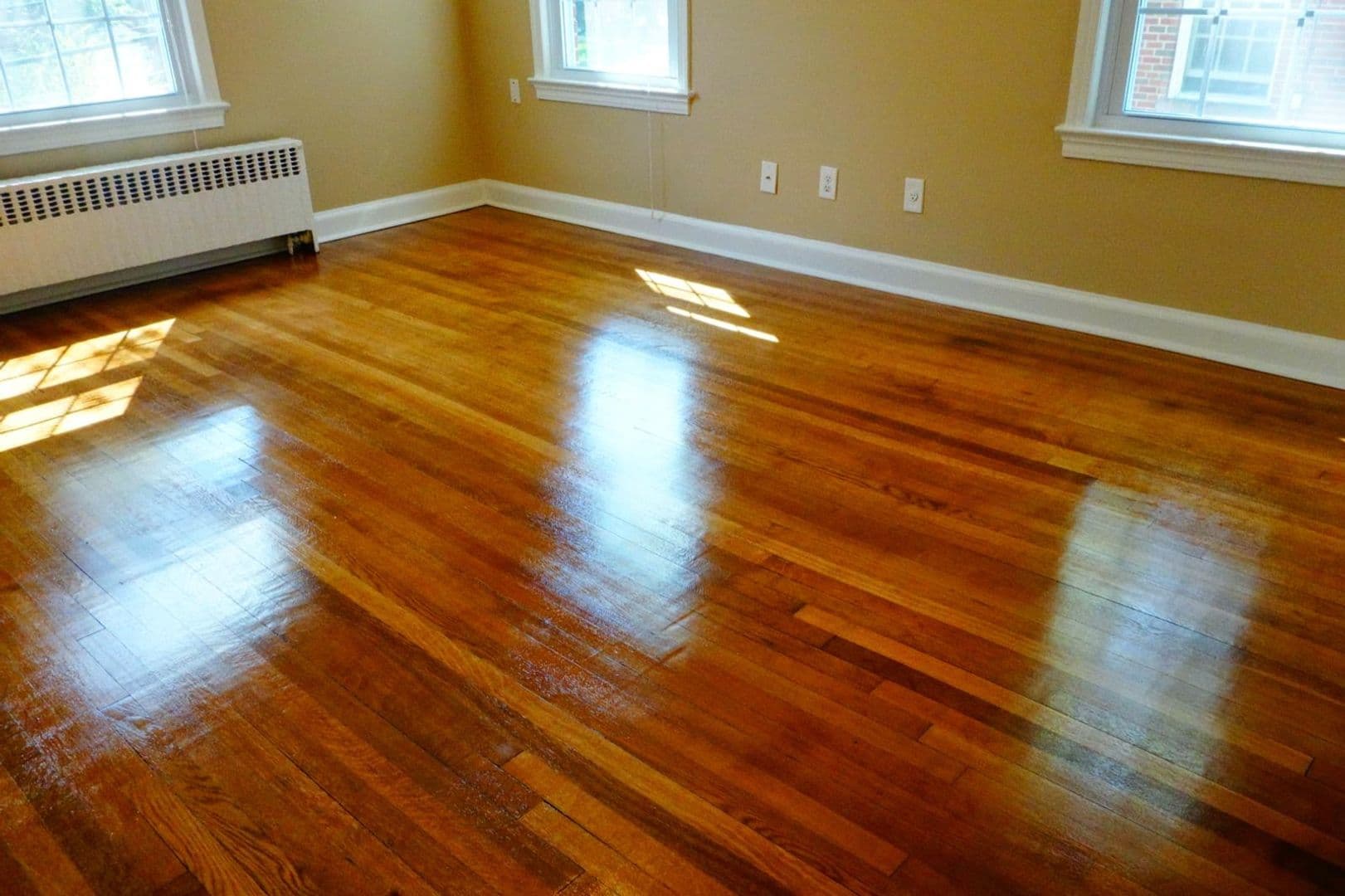 Takoma Park Apartment: 8404 Greenwood Ave