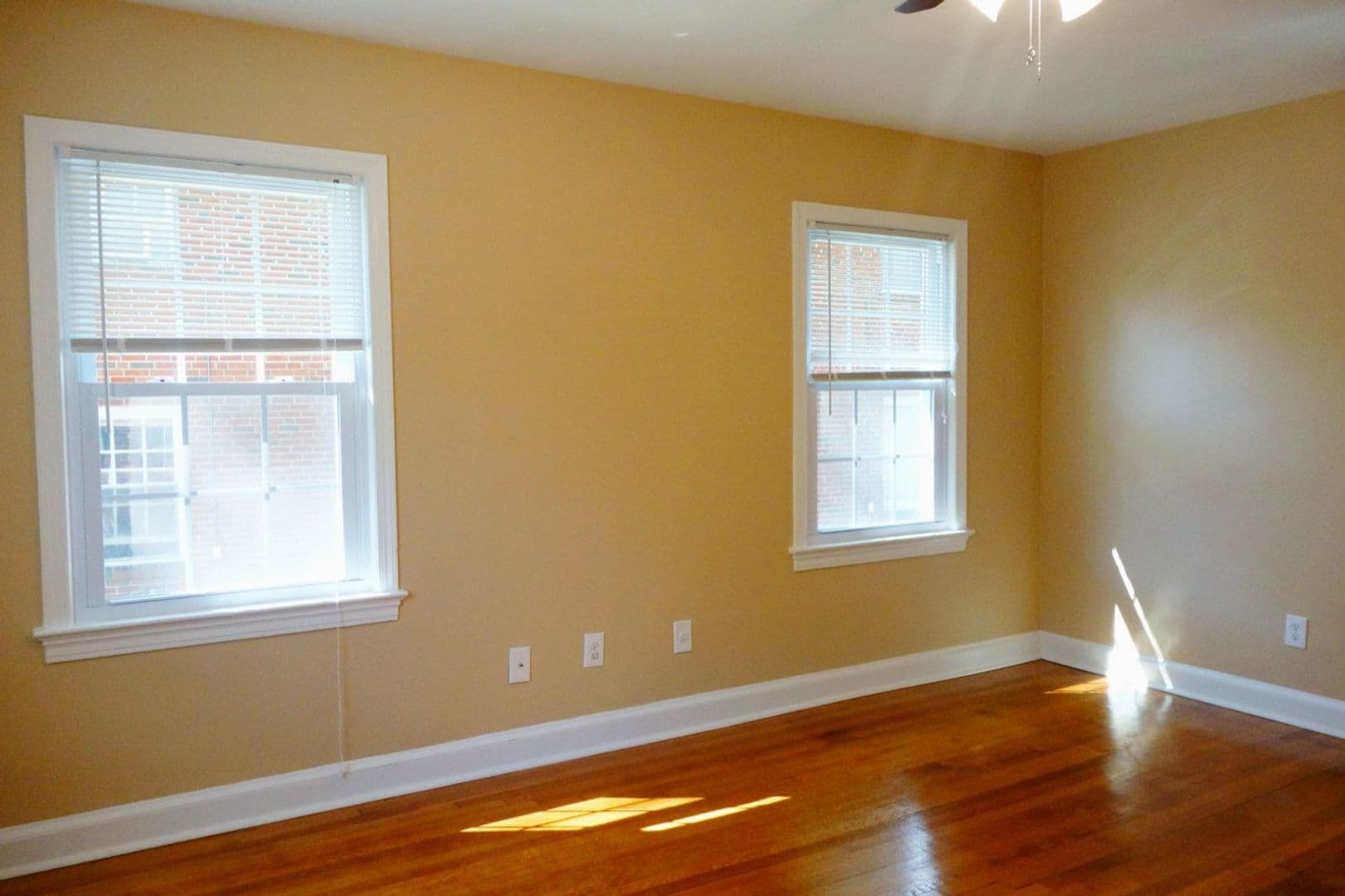 Takoma Park Apartment: 8404 Greenwood Ave