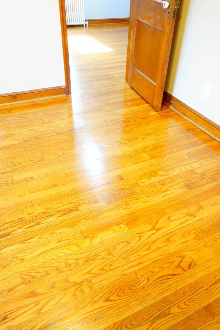 Takoma Park Apartment: 806 Houston Ave