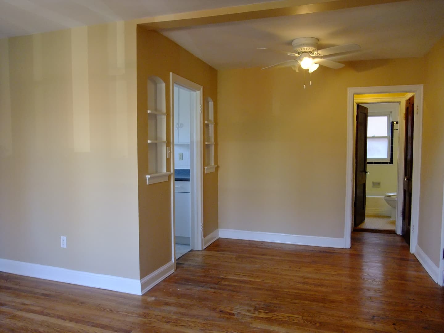 Takoma Park Apartment: 907 Wabash Ave