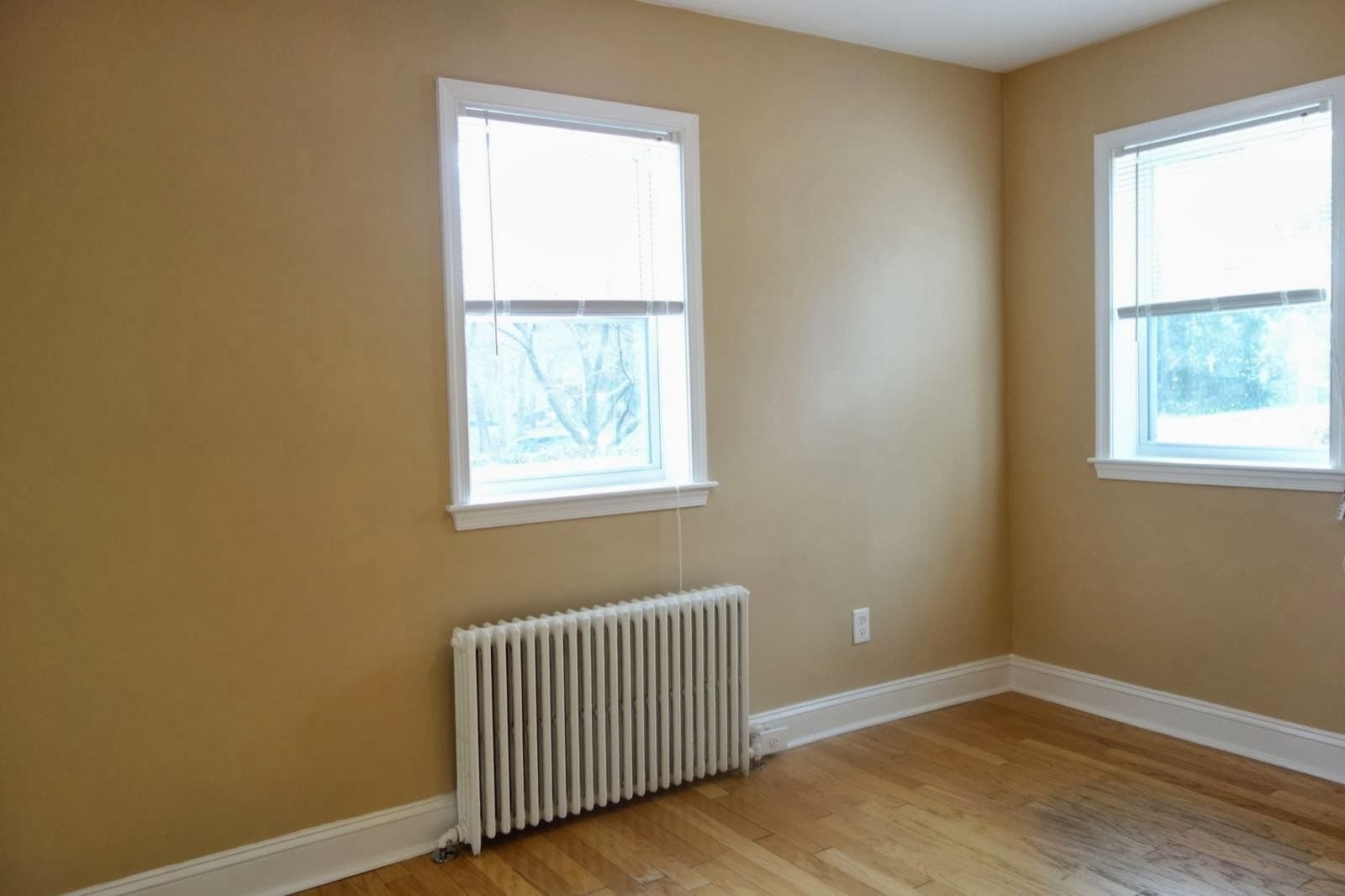 Takoma Park Apartment: 8105 Greenwood Ave