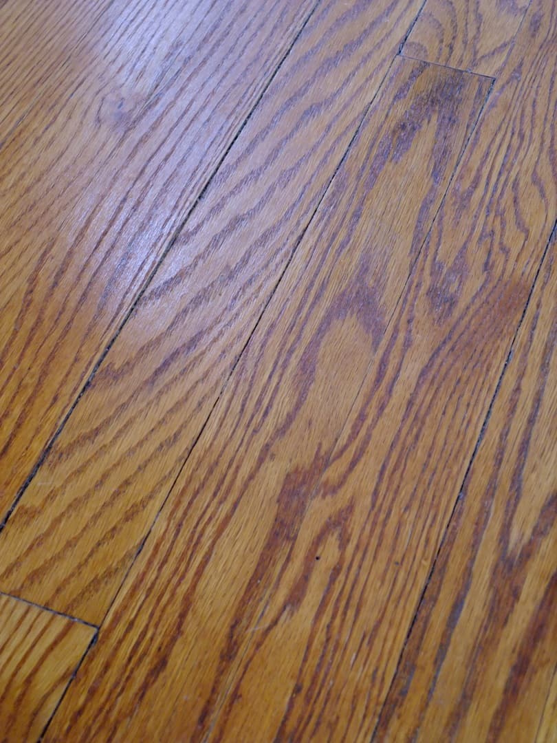 Takoma Park Apartment: 907 Wabash Ave