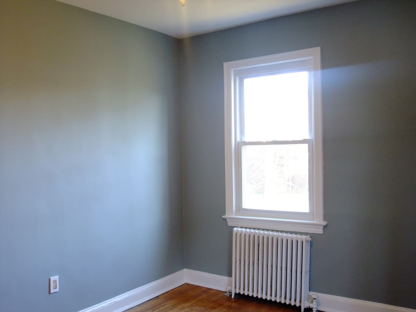 Takoma Park Apartment: 907 Wabash Ave