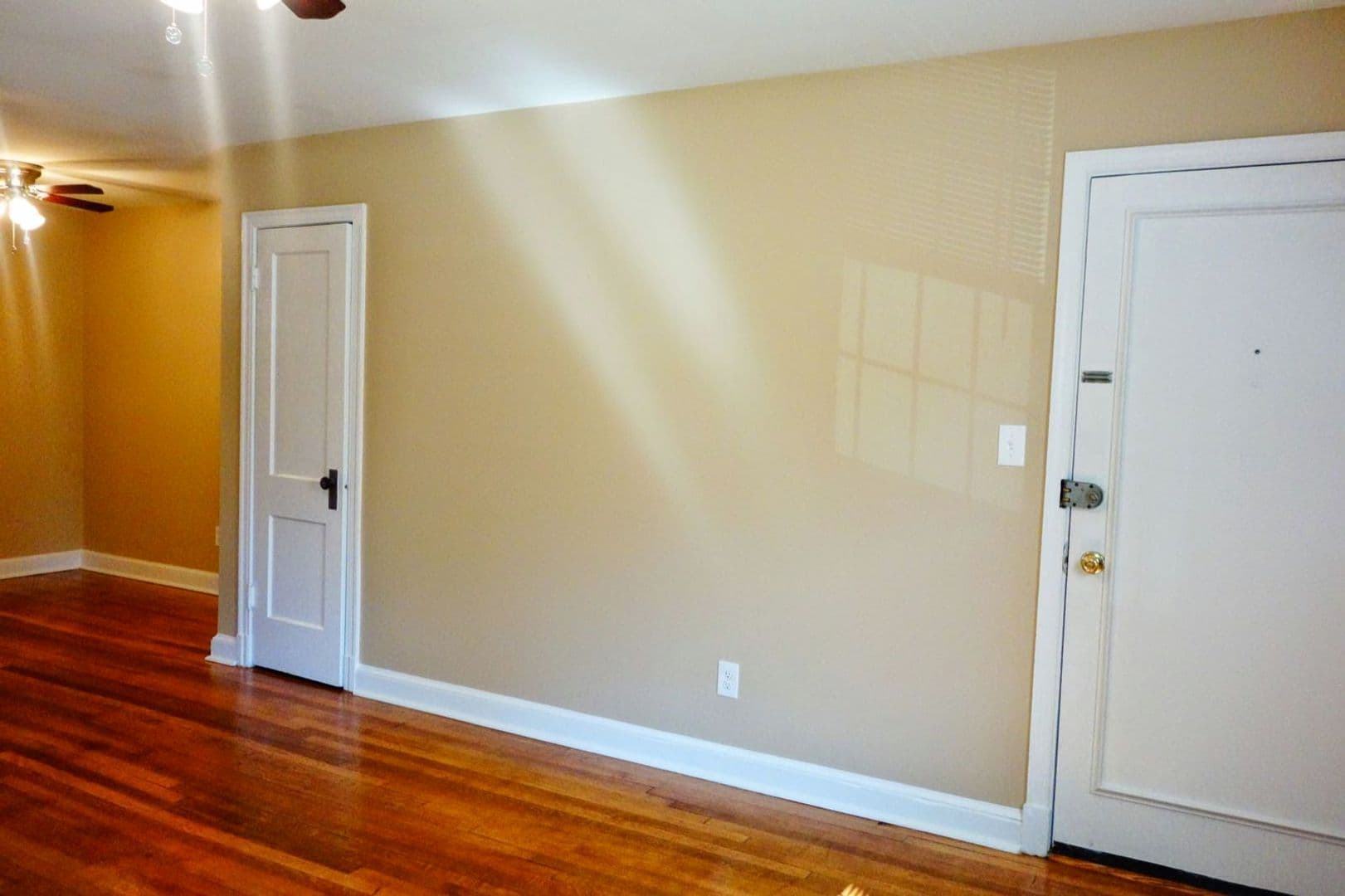 Takoma Park Apartment: 8404 Greenwood Ave