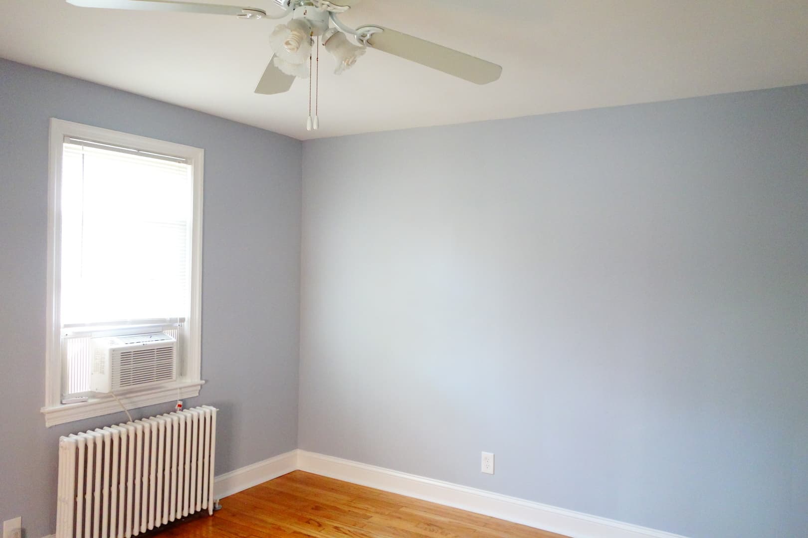 Takoma Park Apartment: 8105 Greenwood Ave