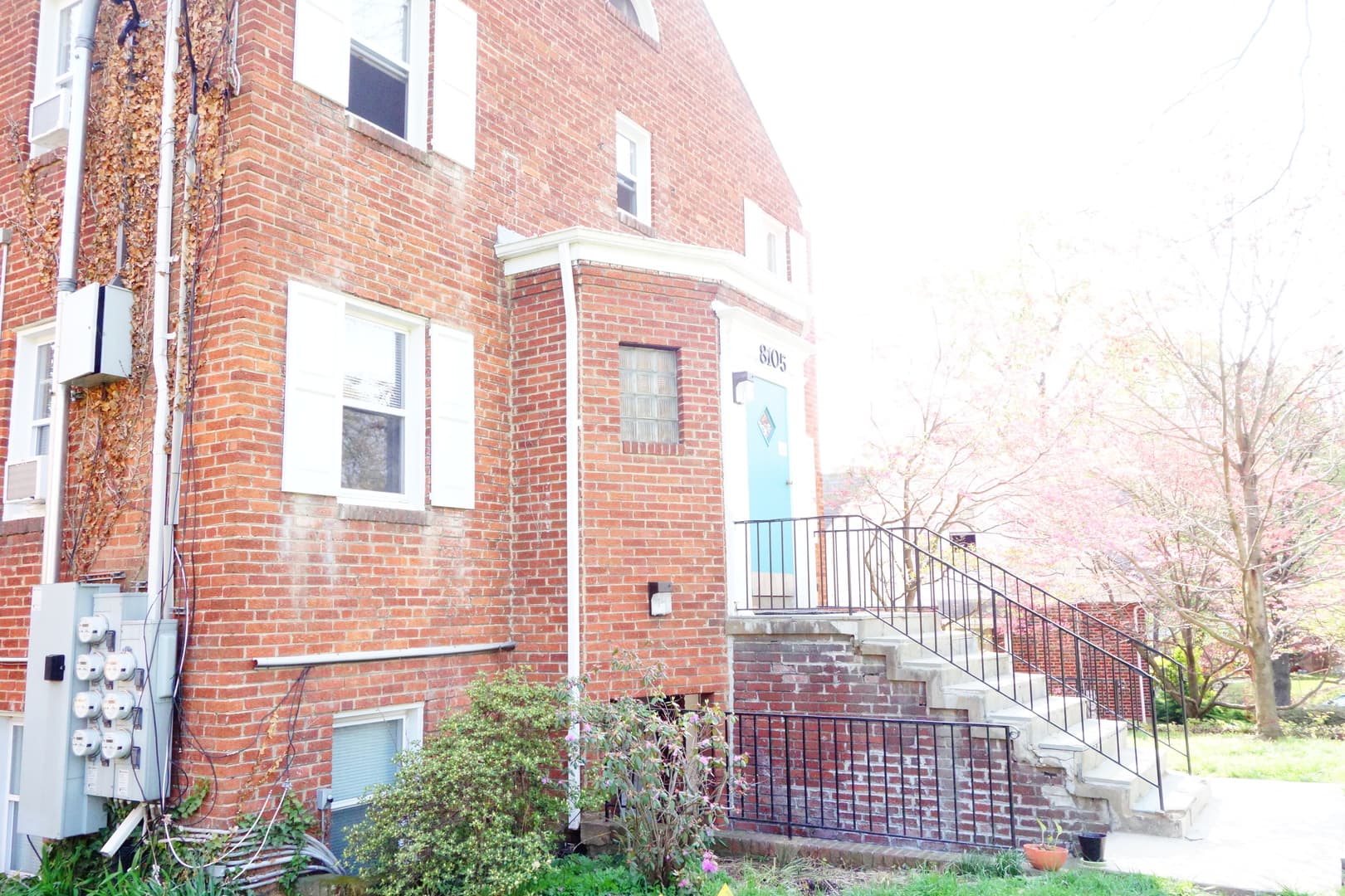 Takoma Park Apartment: 8105 Greenwood Ave