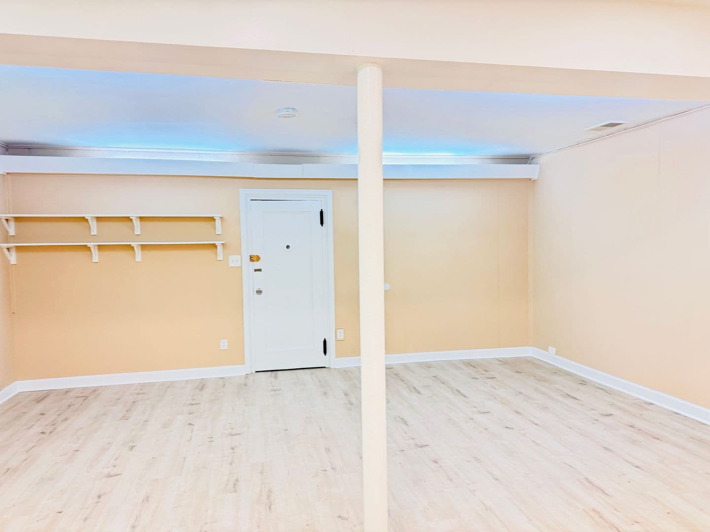Silver Spring Apartment: 8715 Plymouth St