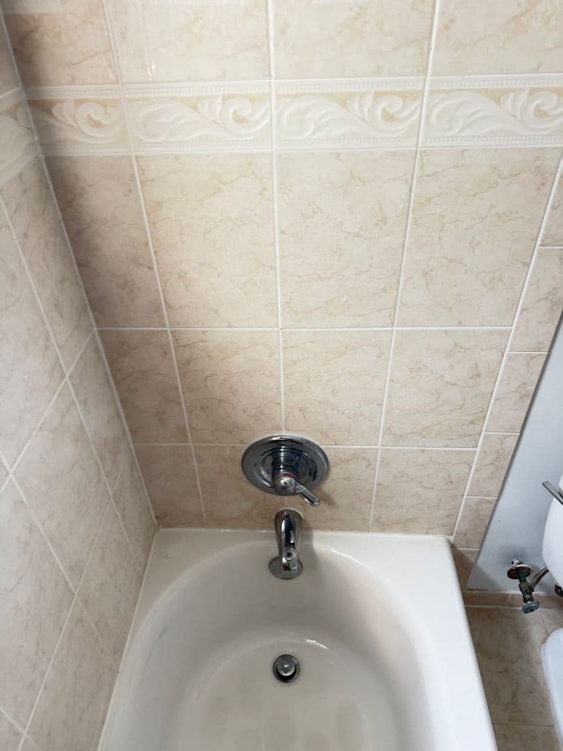 Silver Spring Apartment: 8705 Plymouth St