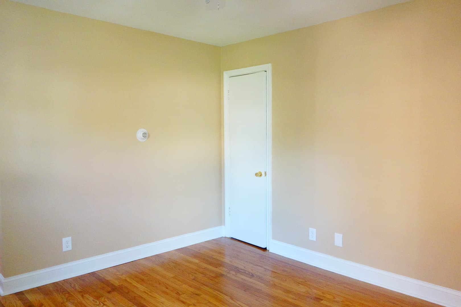 Takoma Park Apartment: 8105 Greenwood Ave