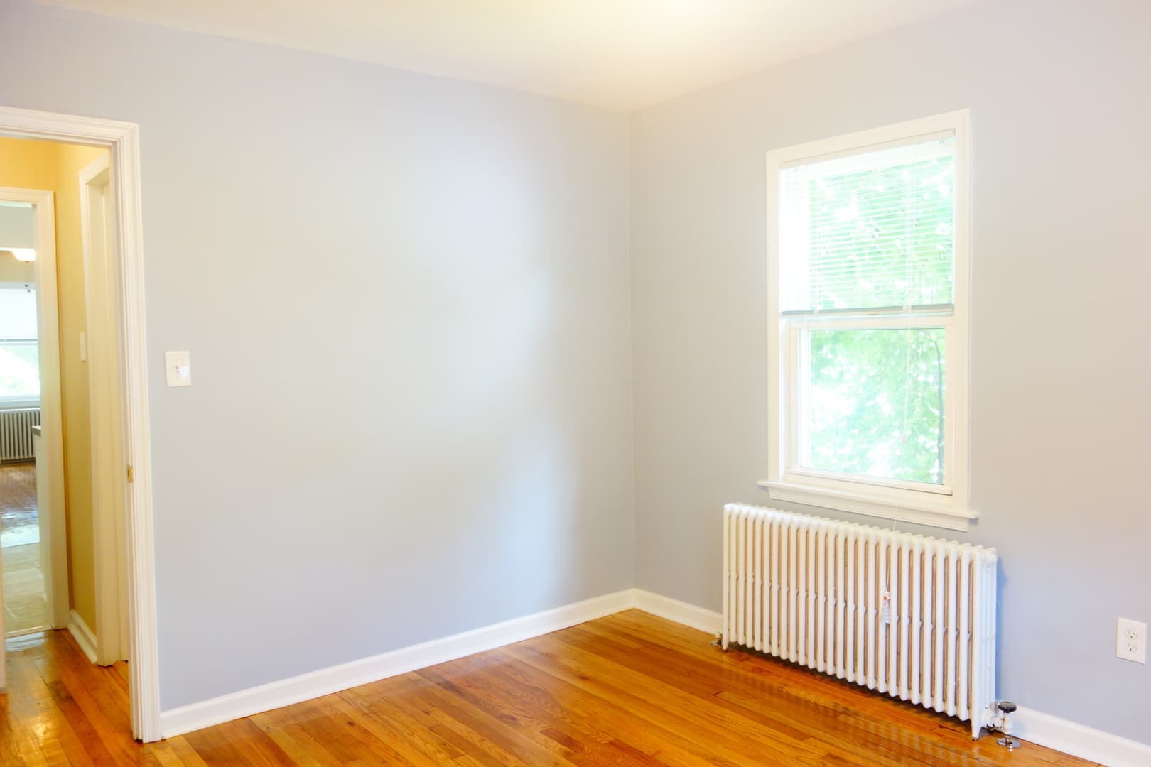 Takoma Park Apartment: 8401 Flower Ave