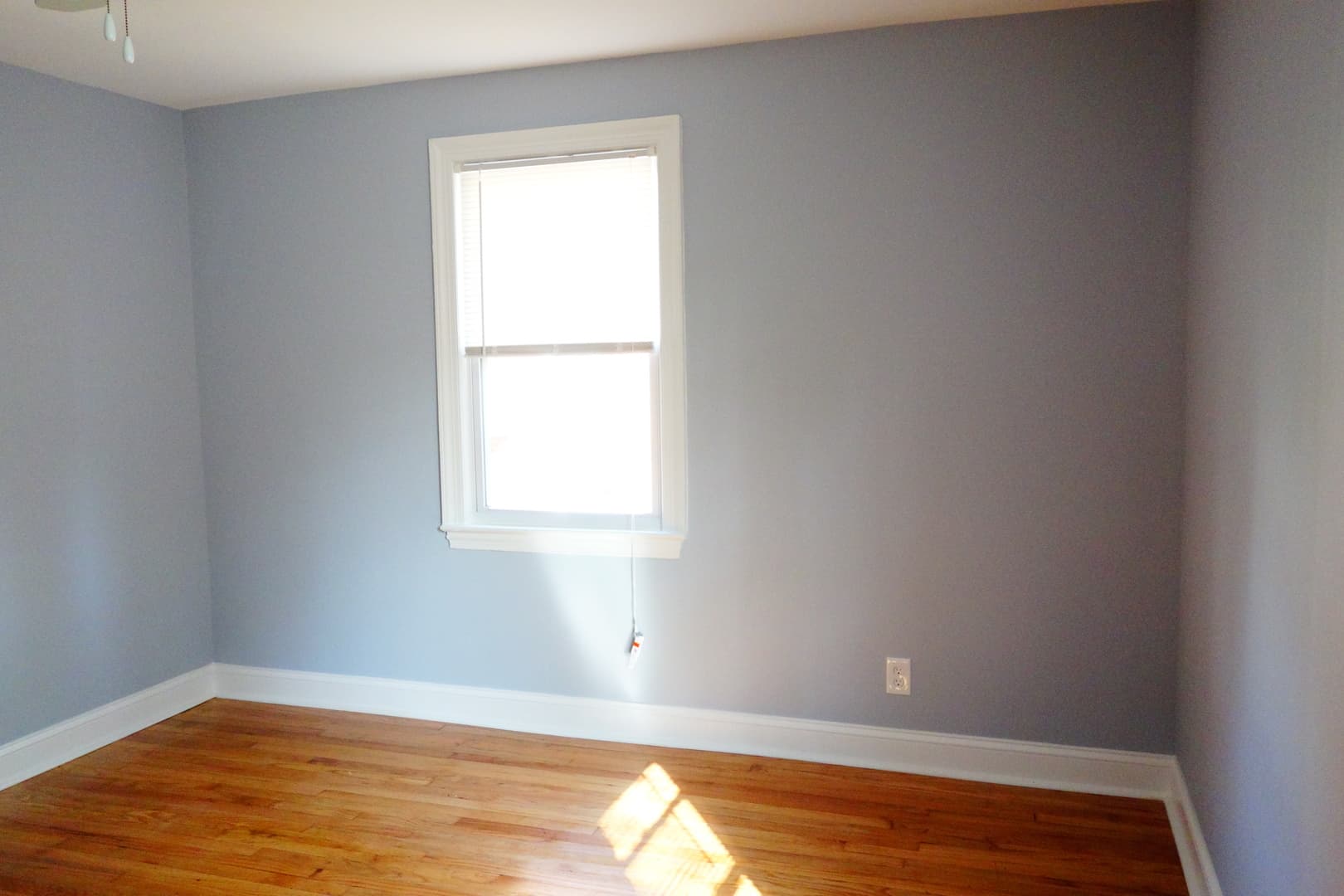 Takoma Park Apartment: 8105 Greenwood Ave