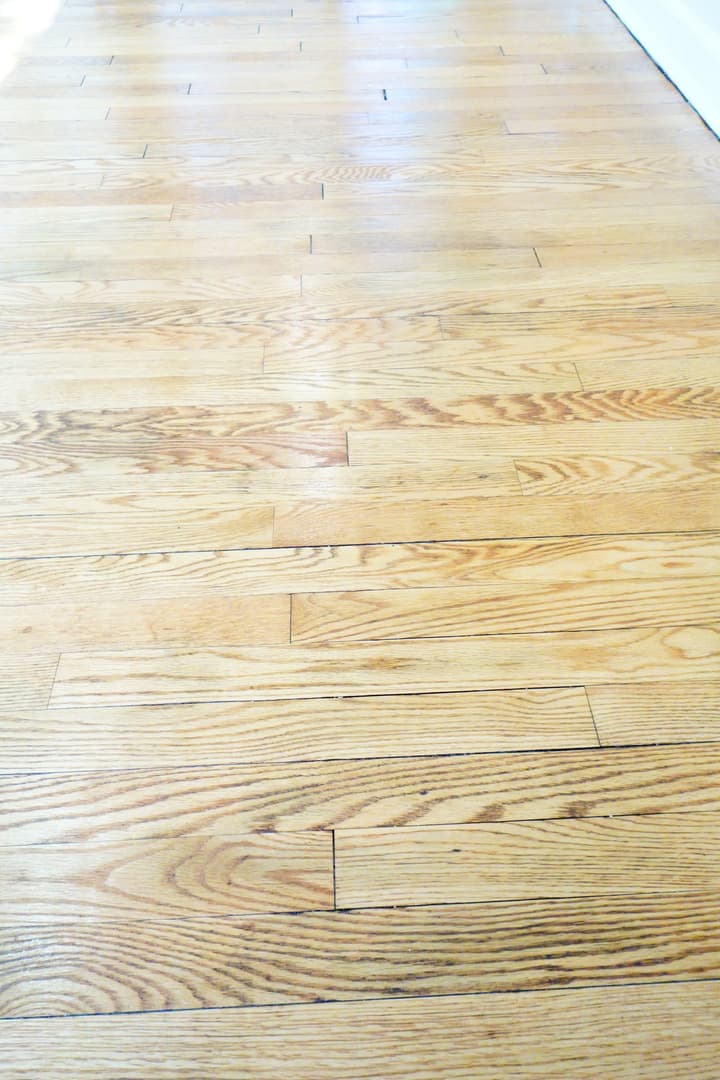 Takoma Park Apartment: 8400 Greenwood Ave
