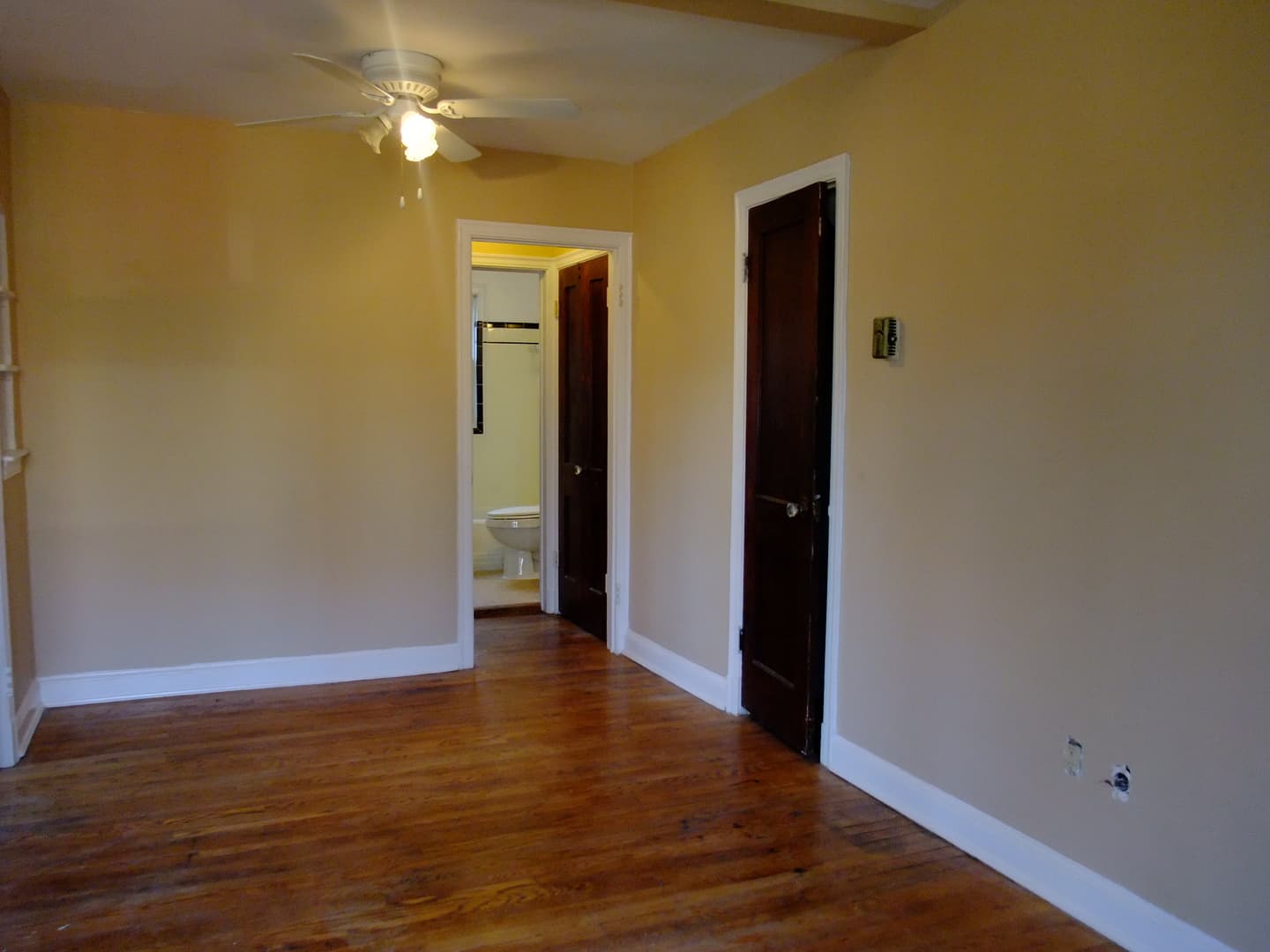 Takoma Park Apartment: 907 Wabash Ave