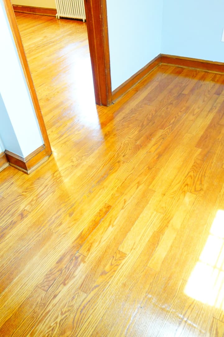 Takoma Park Apartment: 806 Houston Ave