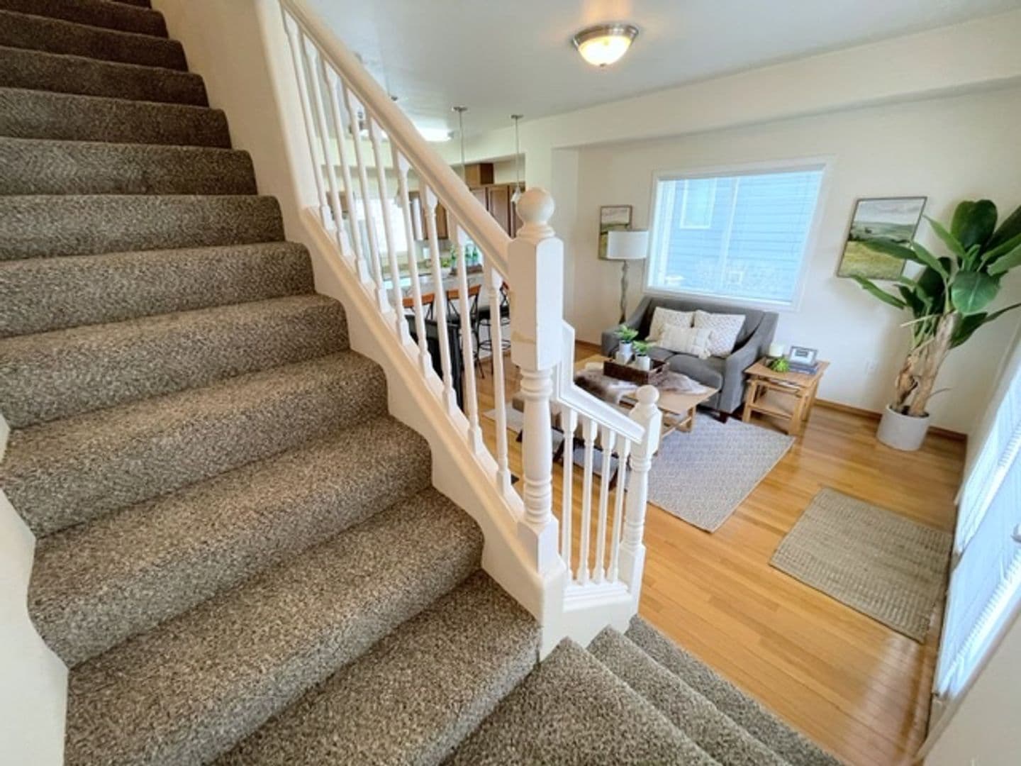 Anchorage Apartment: 221-243 W 13th Ave