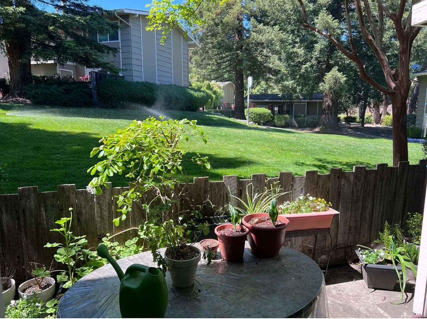 Danville House: 394 Ilo Lane, Apt 603