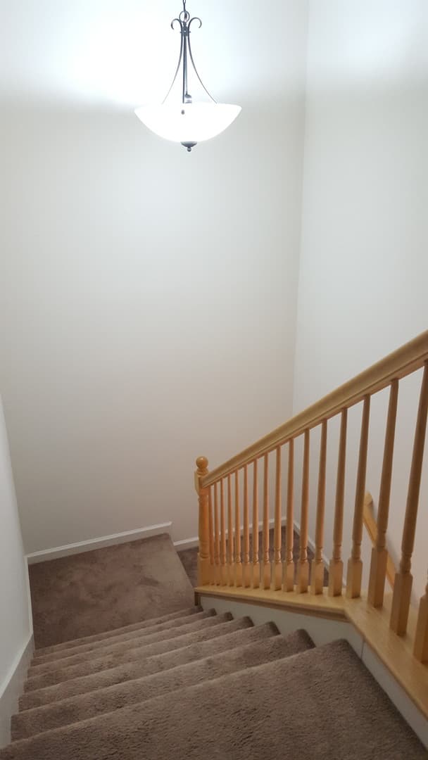 Dublin House: 4620 Sandyford Ct.