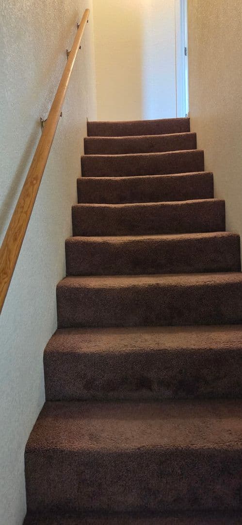 KILLEEN Apartment: 1101 SHANA RAE CIR