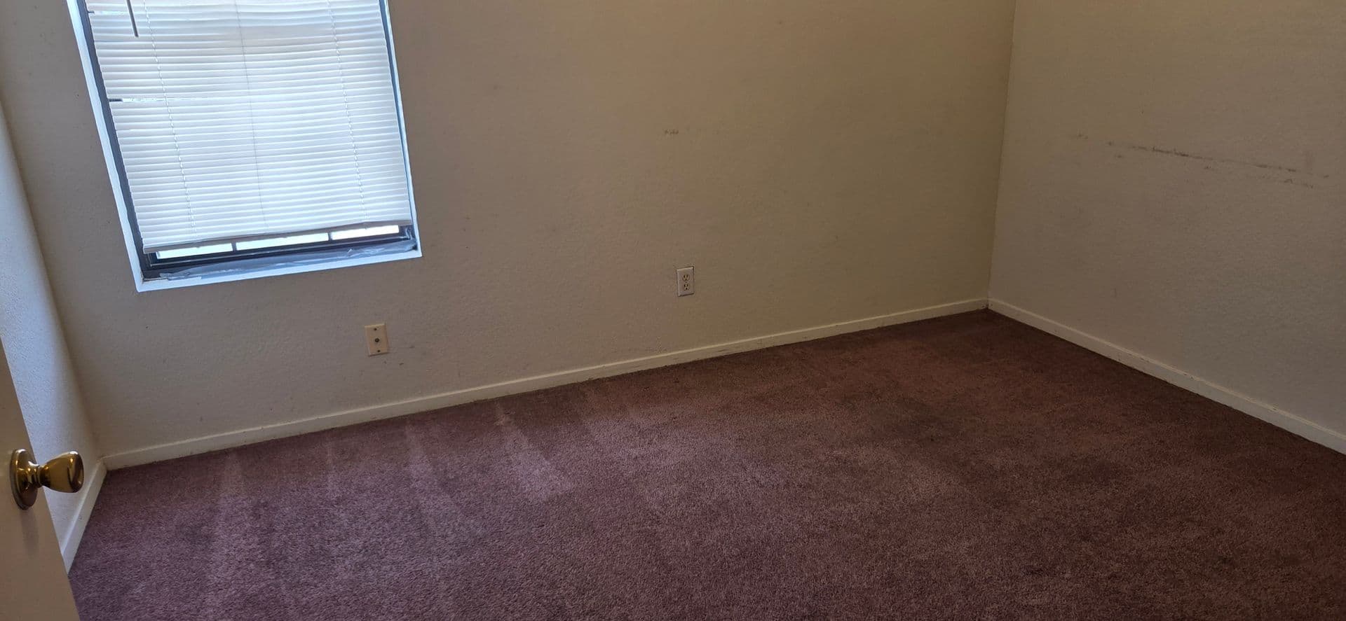 KILLEEN Apartment: 1101 SHANA RAE CIR