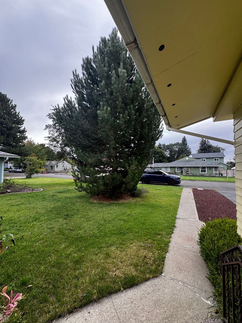 Ellensburg House: 811 E Spokane Ave